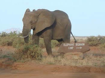 Elephant Bedroom Camp Archers Post Экстерьер фото