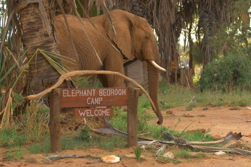 Elephant Bedroom Camp Archers Post Экстерьер фото